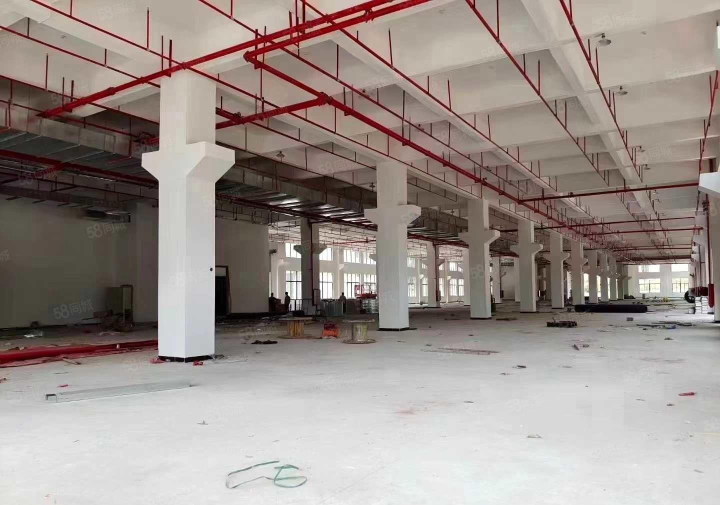 马安新乐工业区附近5200平米标准独院厂房出租