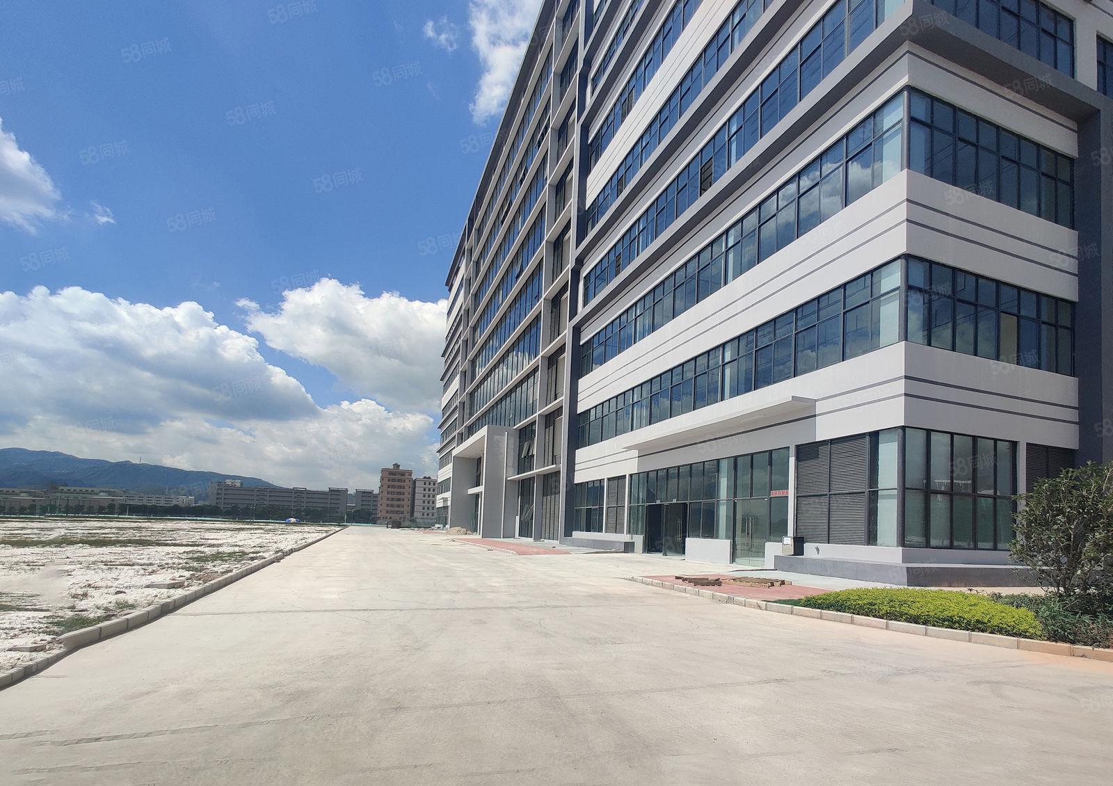 10元起原房东无公摊可分租惠城小金口红本独院厂房仓库一楼出租