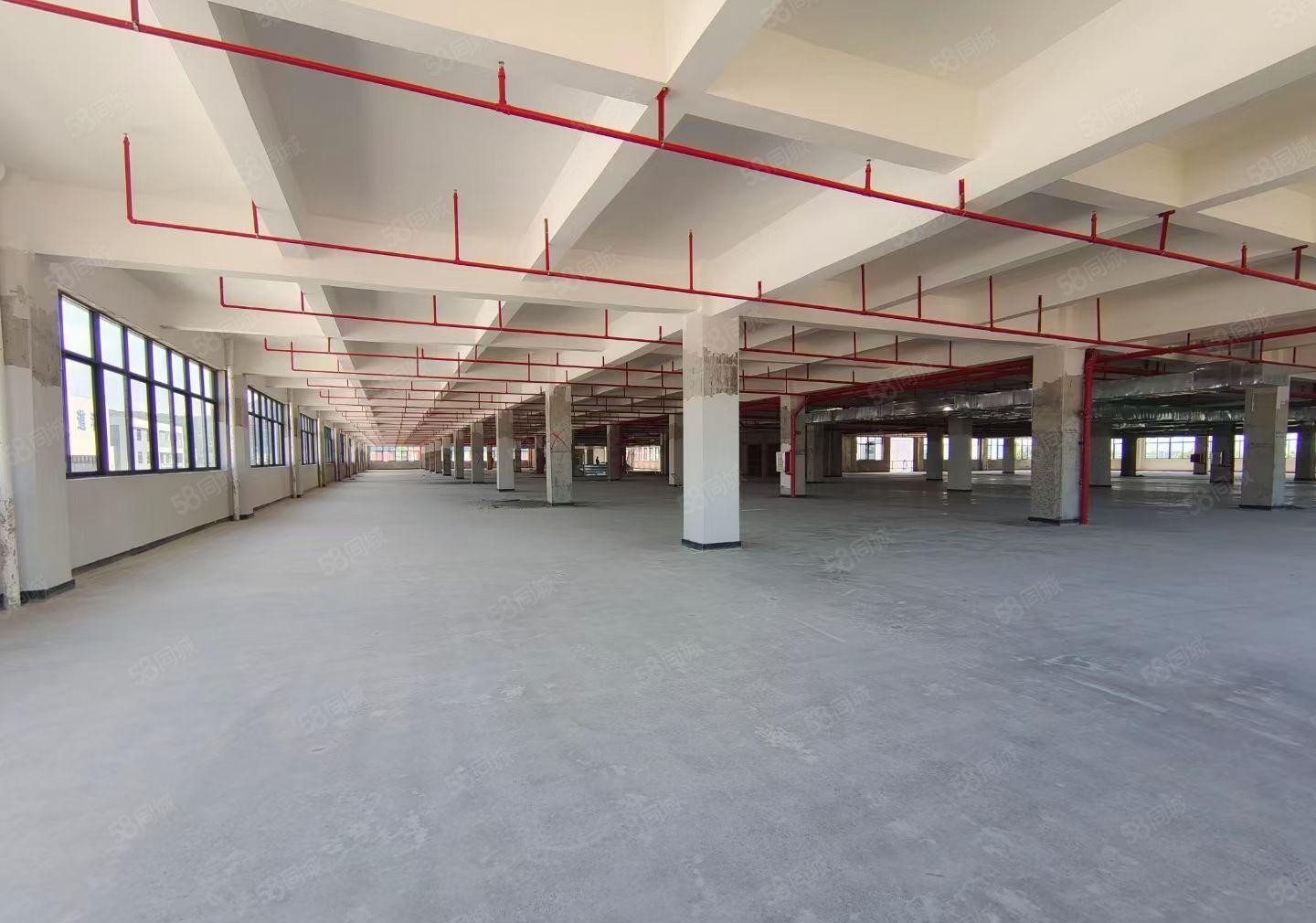 惠州全新红本独院厂房36400平 面积大小可分租 无行业限制