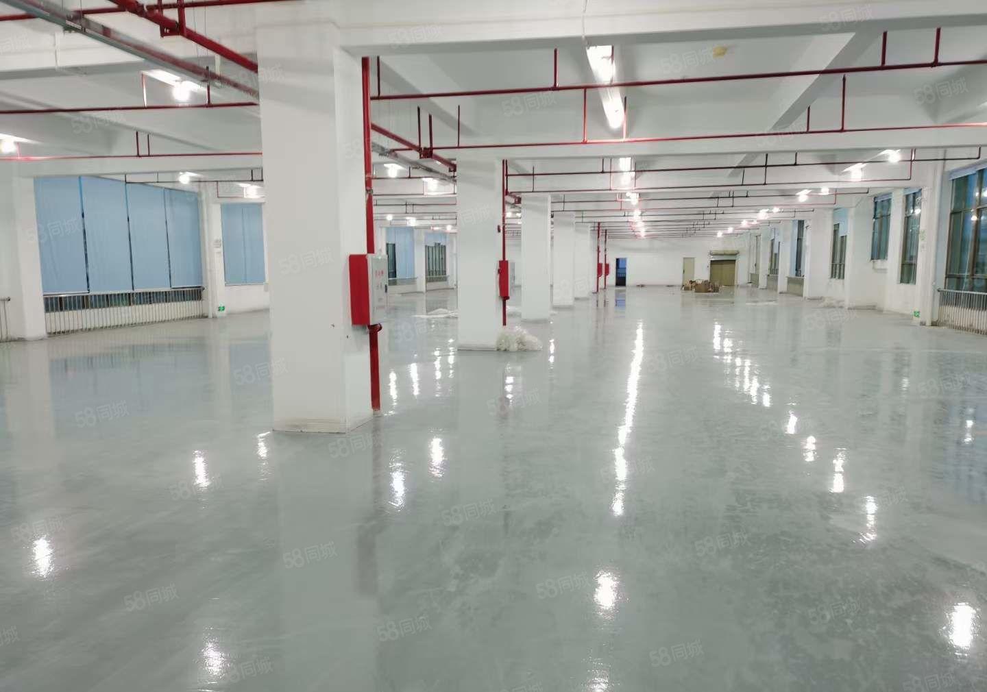 三栋镇工业区1800平带装修办公室  租金13元 可分租