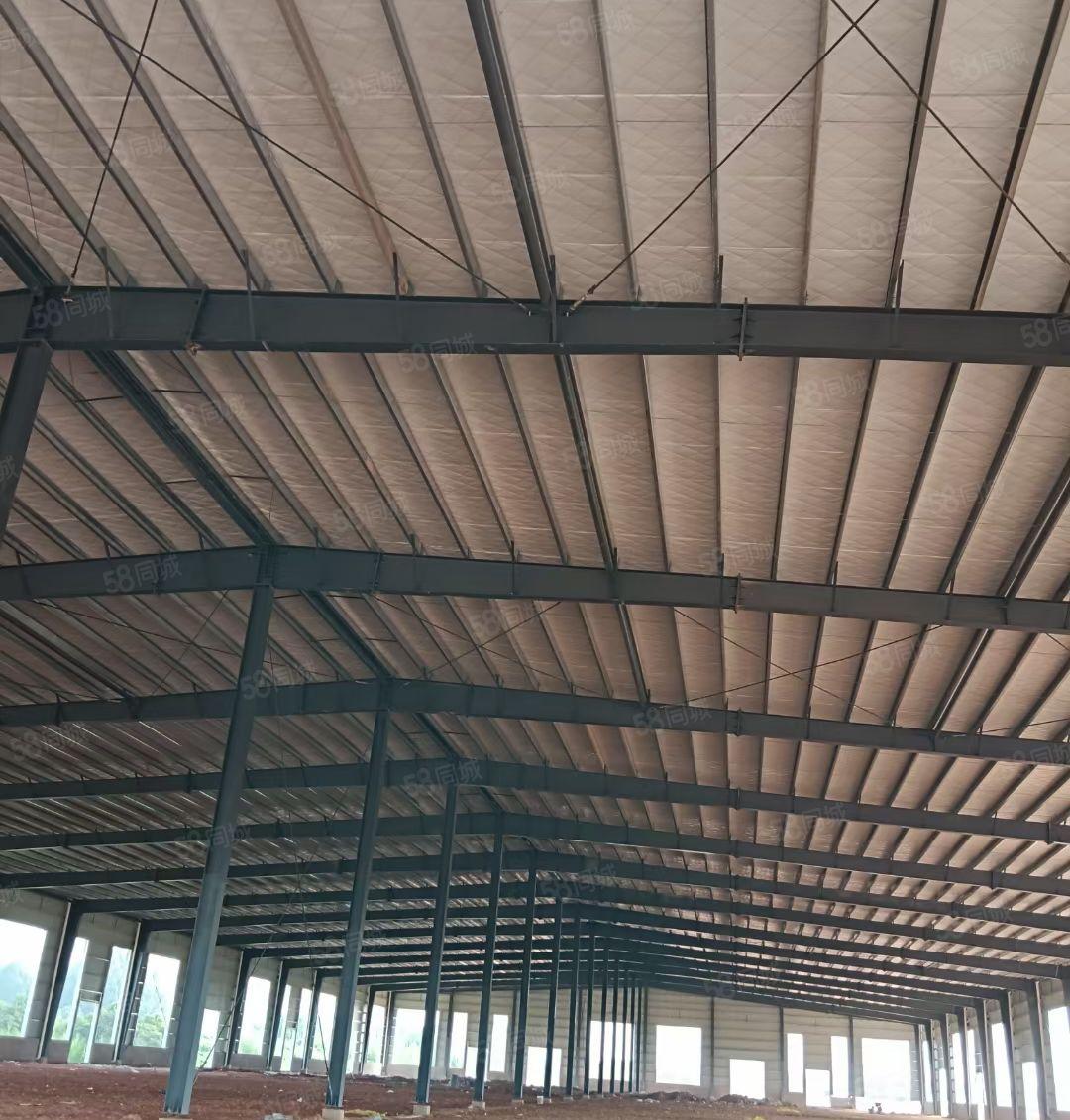 惠东大岭全新10米钢构27800平 面积可分租 无行业限制