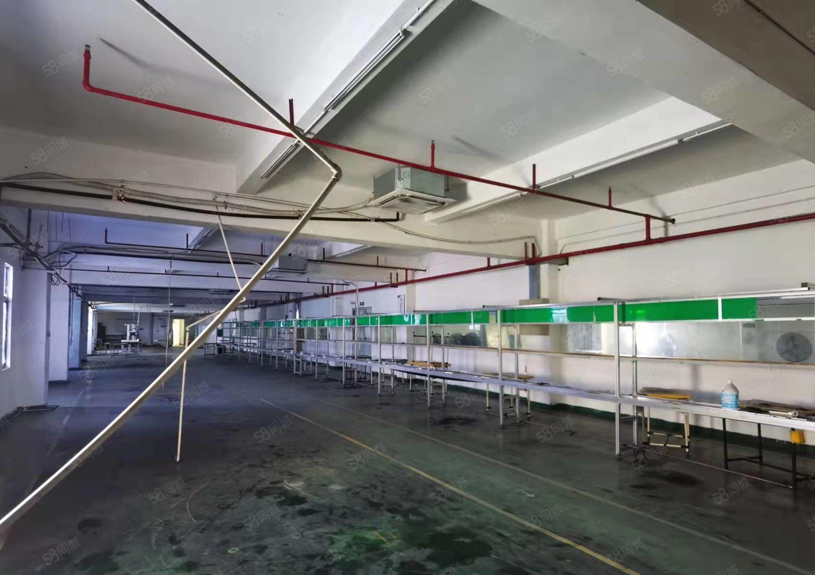 水口大湖溪原房东一楼600平方标准厂房出租 租金18