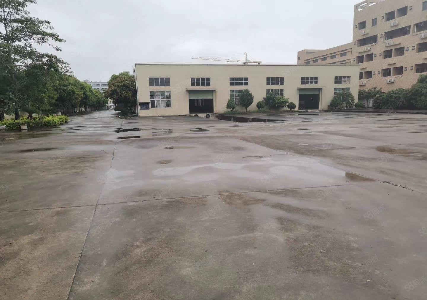 水口红本钢构8000平方，可分租4百，8百平方