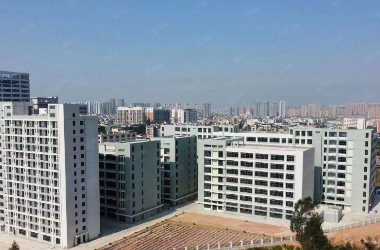 惠州惠城区马安 全新标准化厂房 可分割出租，500平米起租！