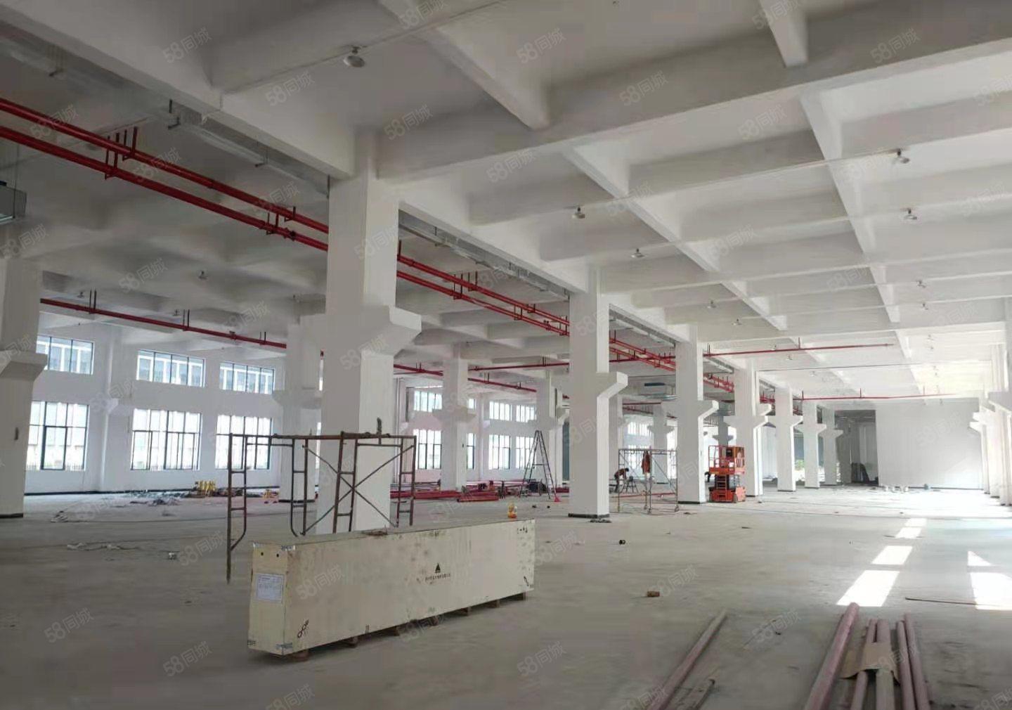 东江高新区全新园区招租，3000平米，租金实惠