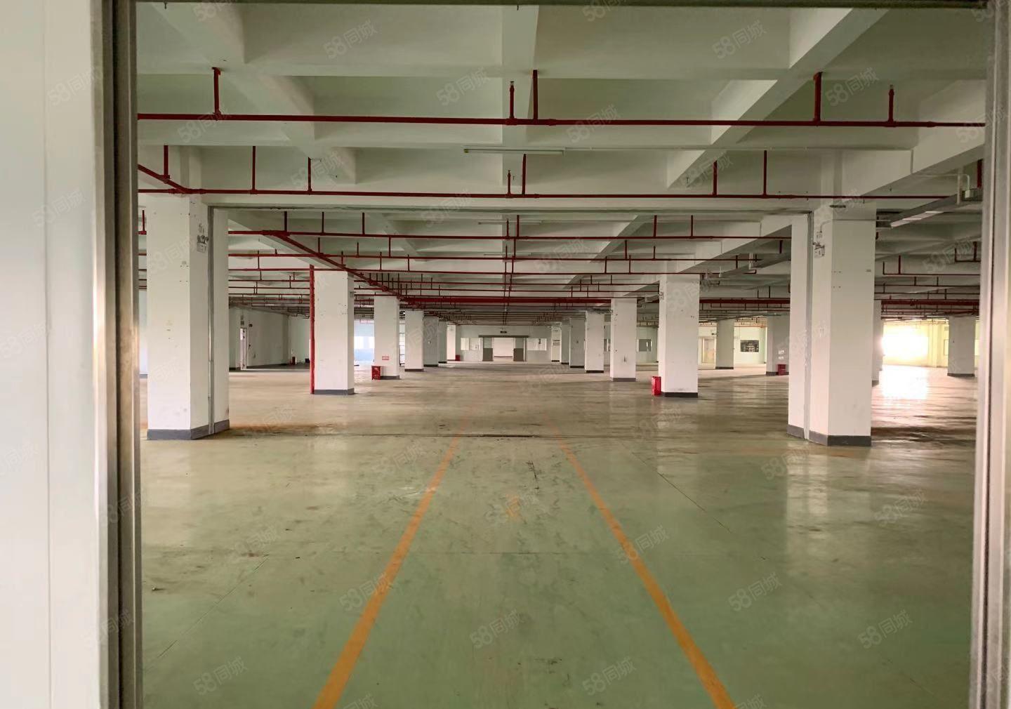 惠城区水口镇大型园区厂房出租可以分租