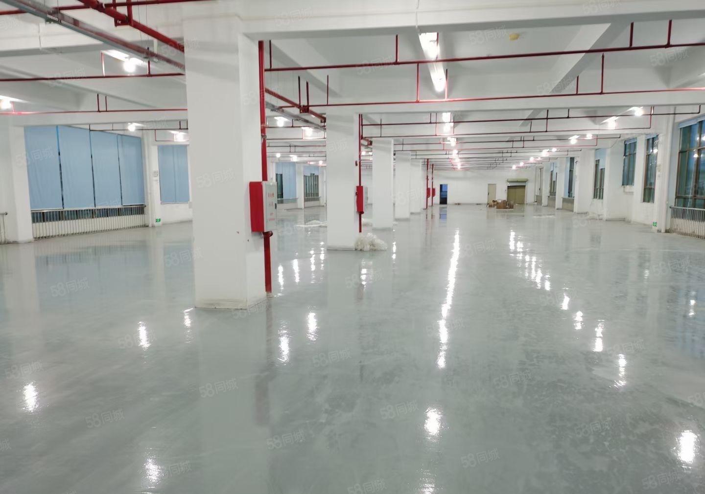 (精装修)东江高新区花园式厂房1700平出租证件齐全