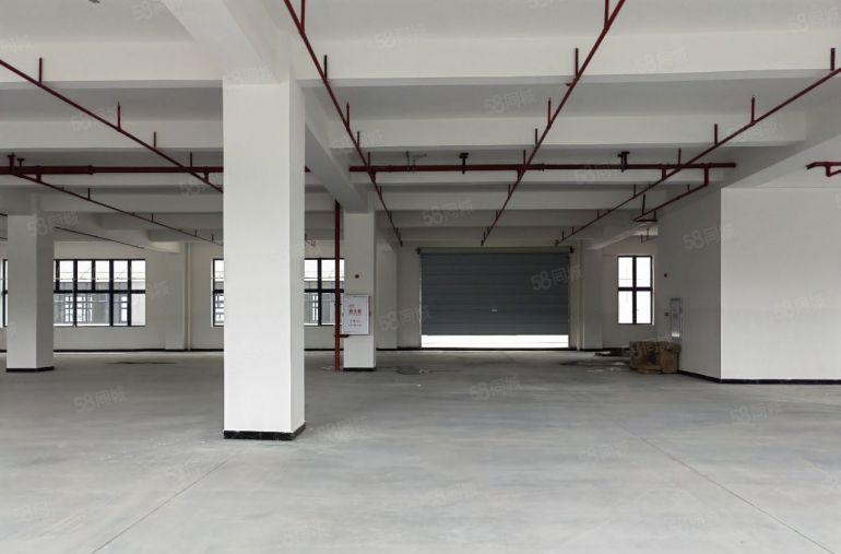小金口金龙大道5000原房东全新红本厂房1000起分租