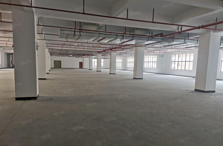 ！整栋！可分割（东江高新区标准厂房）2500平米一层，共5层