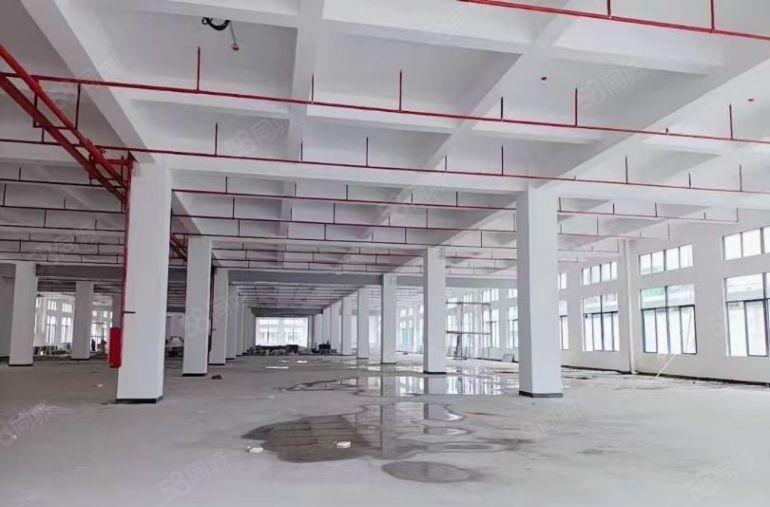 惠城小金口全新原房东独门独院高标准厂房出租详情来电咨询