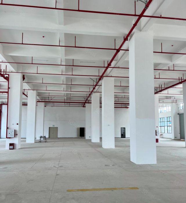 三栋全新厂房出租2000平方一层可分租