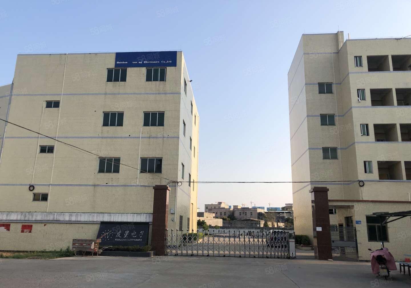 江北 独门独院 标准厂房4800平米出租