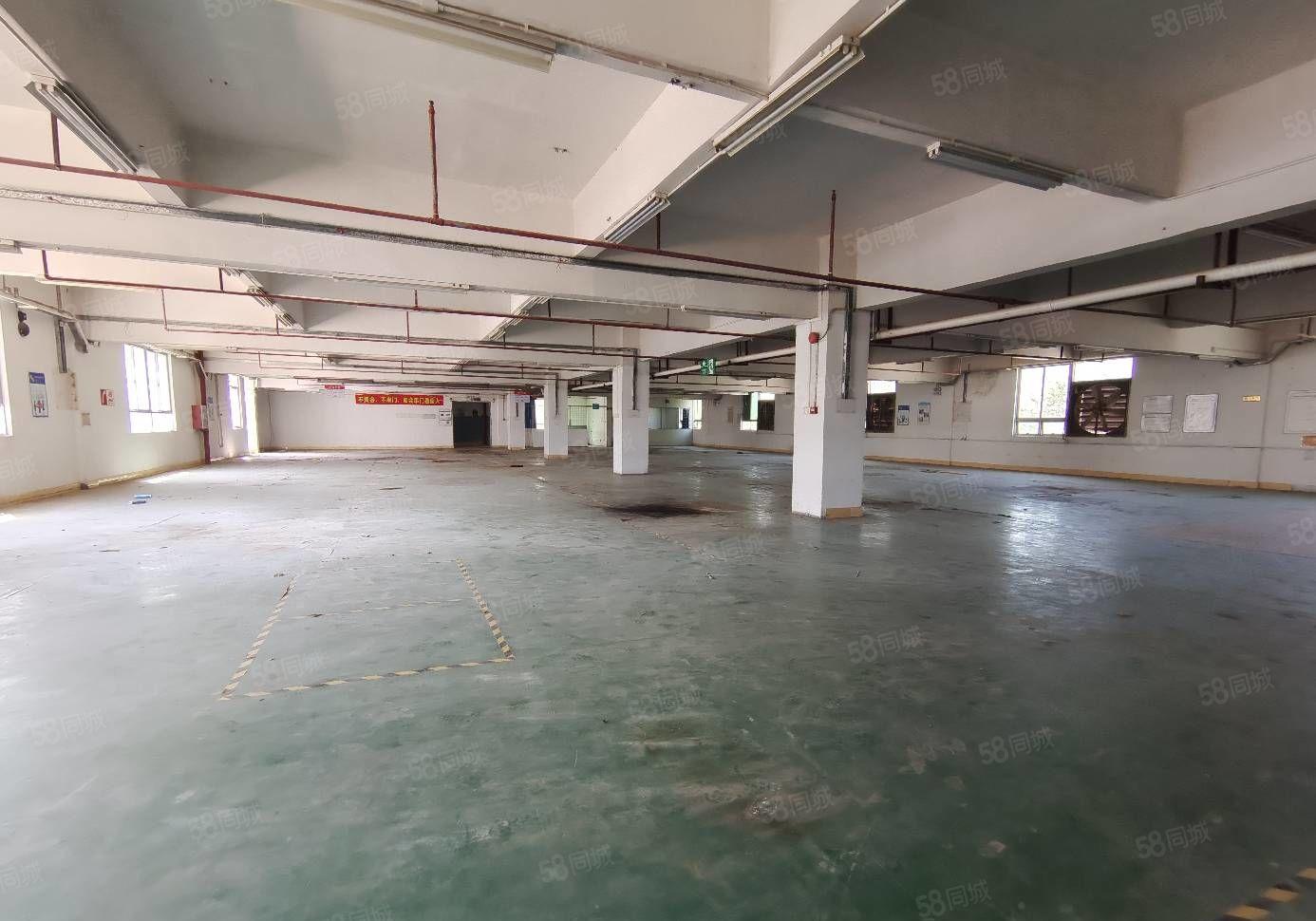 马安新乐工业区一楼标准厂房1750平方带装修出租，空地超大