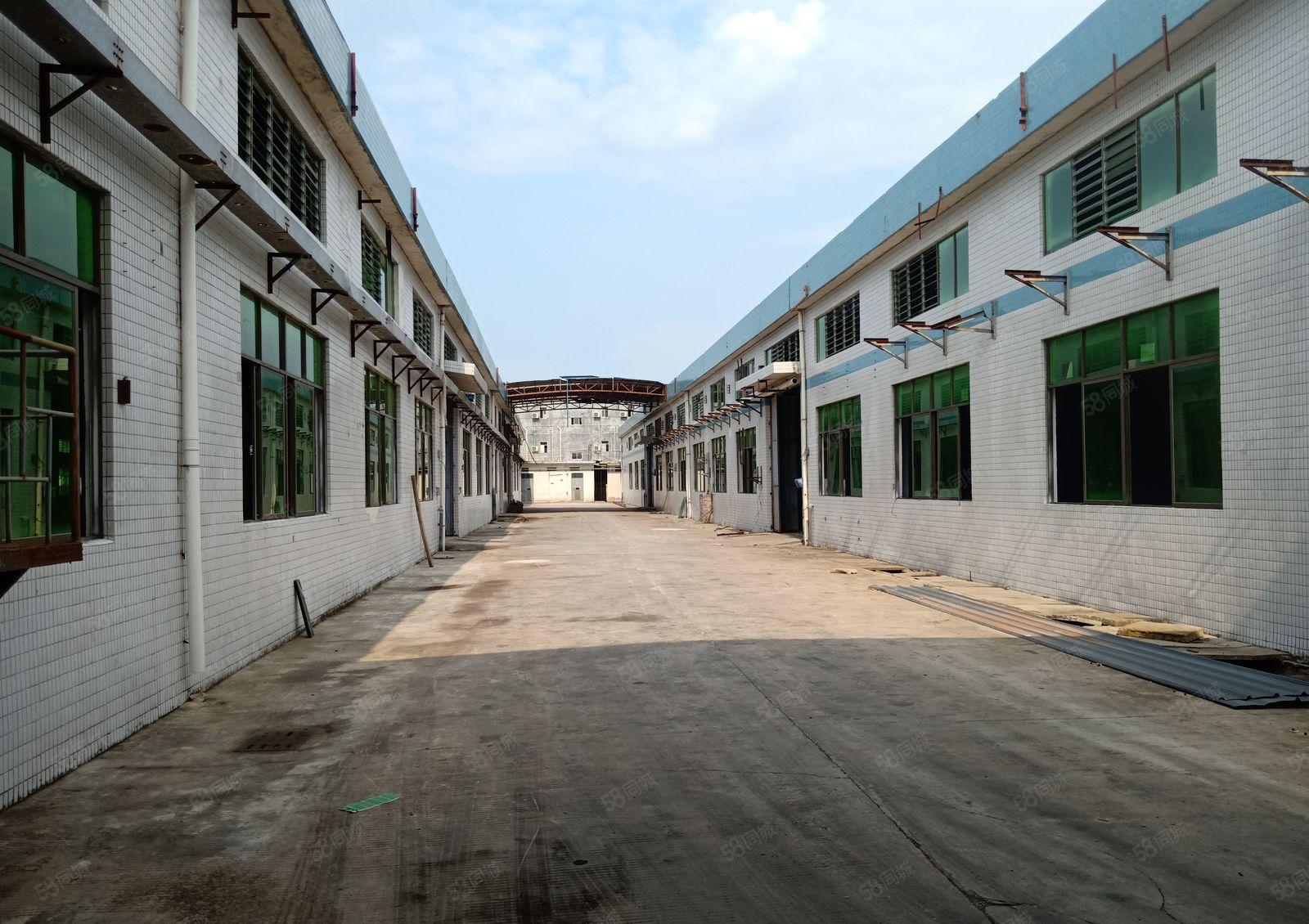 惠城区小金口高速出口工业区单一层钢构8千平方厂房出租可分租