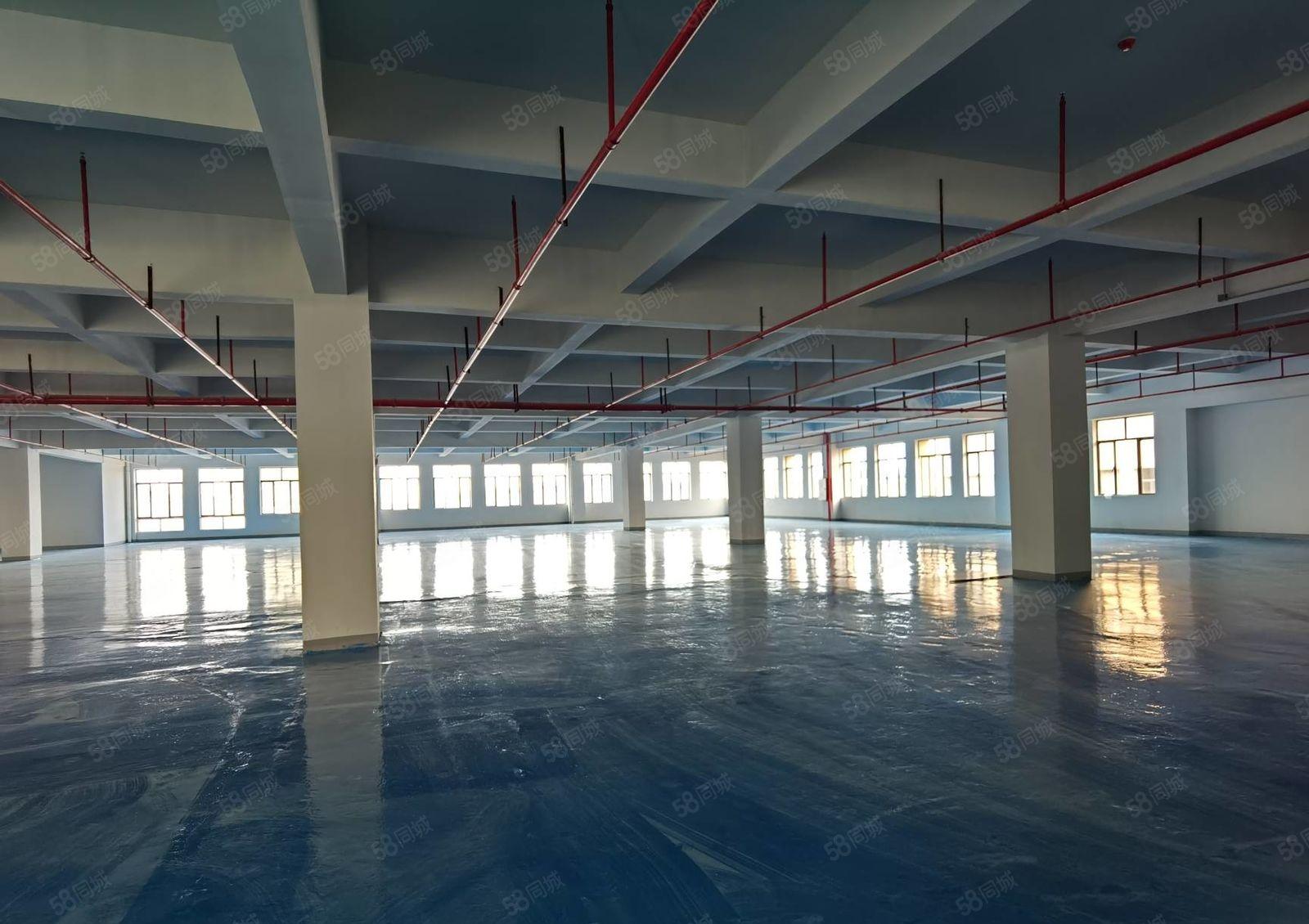 马安全新科技园厂房四楼760平米出租 带全新装修 租金11