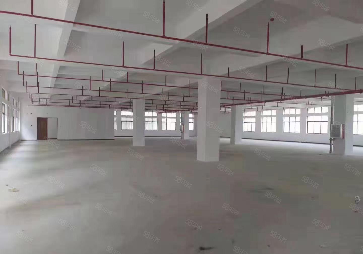 9.9元一平方，数码园北区新建厂房一层1550元厂房出租