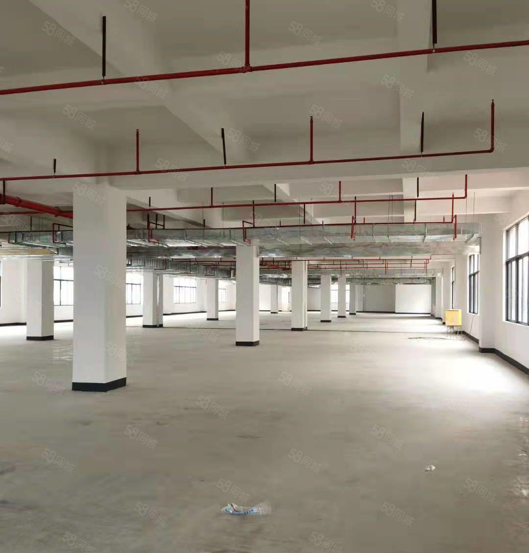 平潭45000平米全新红本独院厂房出租，1000平米起分租