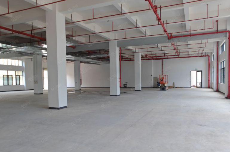 惠州惠城区马安新建厂房出租，适合公司总部，生产，近深圳电子厂