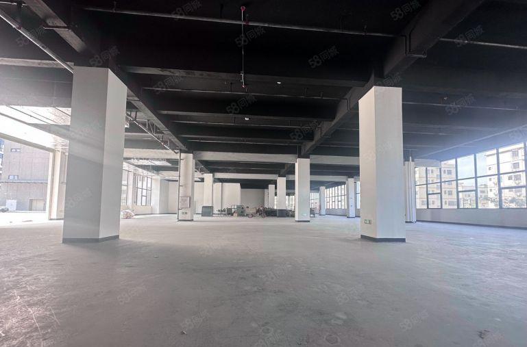 小金高速口全新厂房，还可做写字楼100平方起分