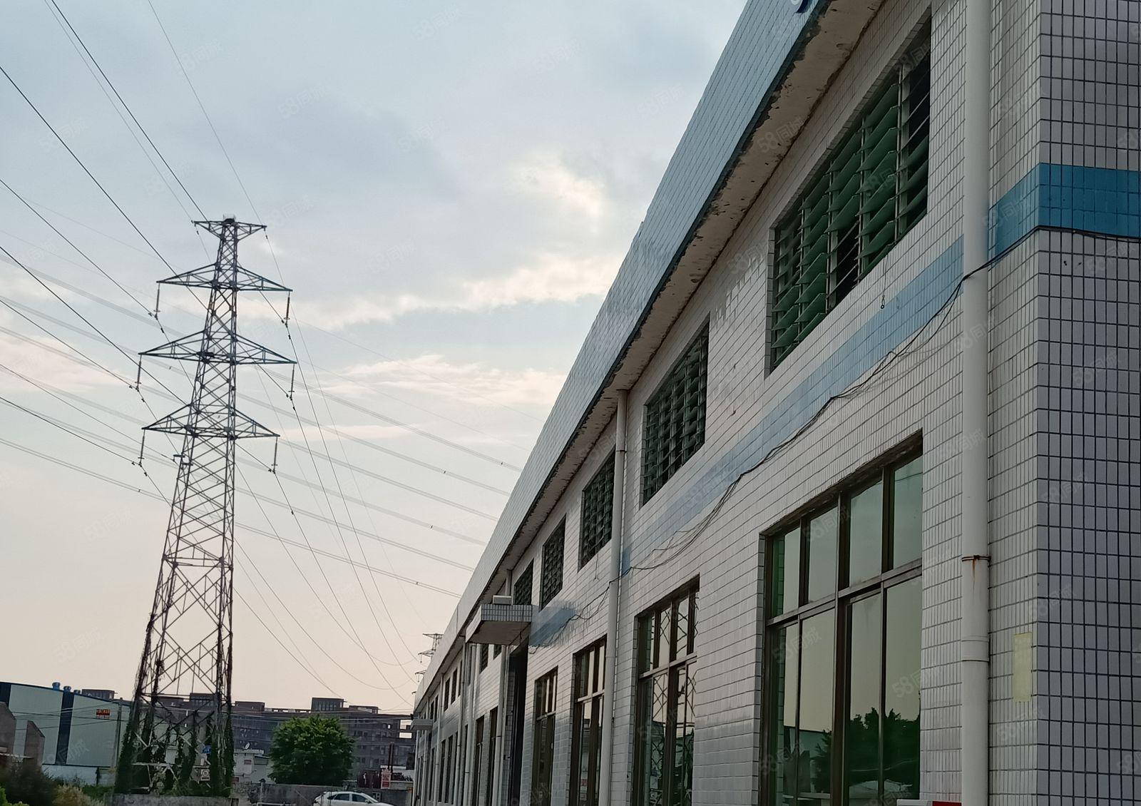 惠城区小金口高速出口工业区单一层钢构8千平方厂房出租可分租