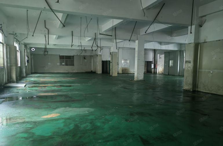 独门独院！五金加工环评！惠城小金口原房东独院厂房3000平方