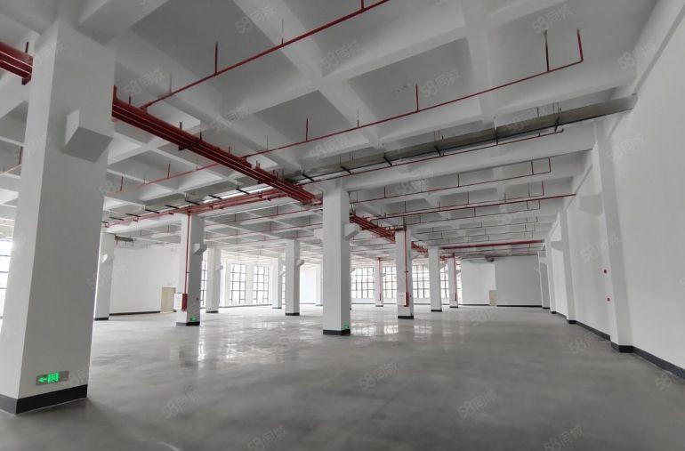 数码园新空出两层4600平方厂房出租，租金适合可以分租