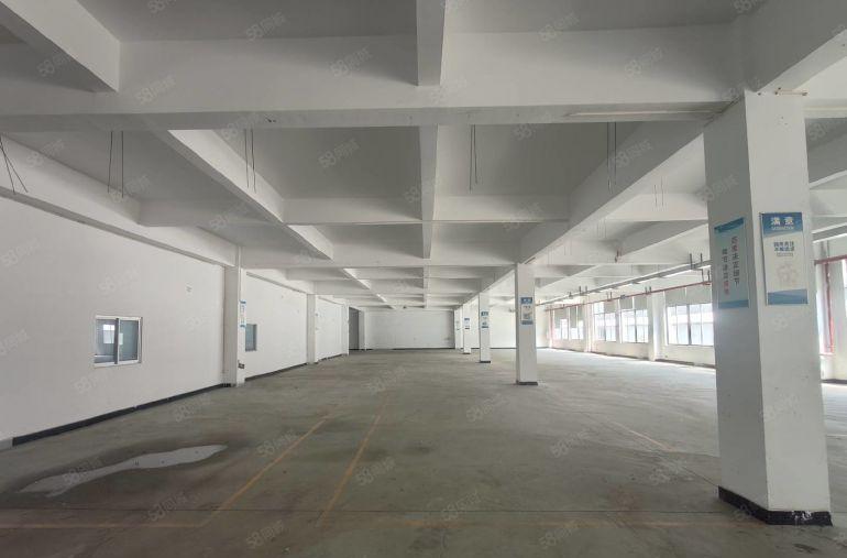 三栋数码园北区一楼标准厂房1650平米带装修出租，价格实惠