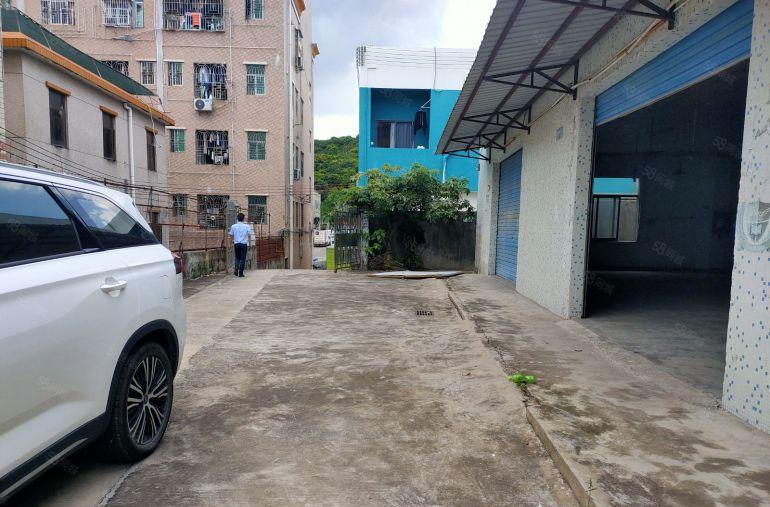 低价河南岸原房东独院单一层钢构厂房出租 600平铁皮房可分租