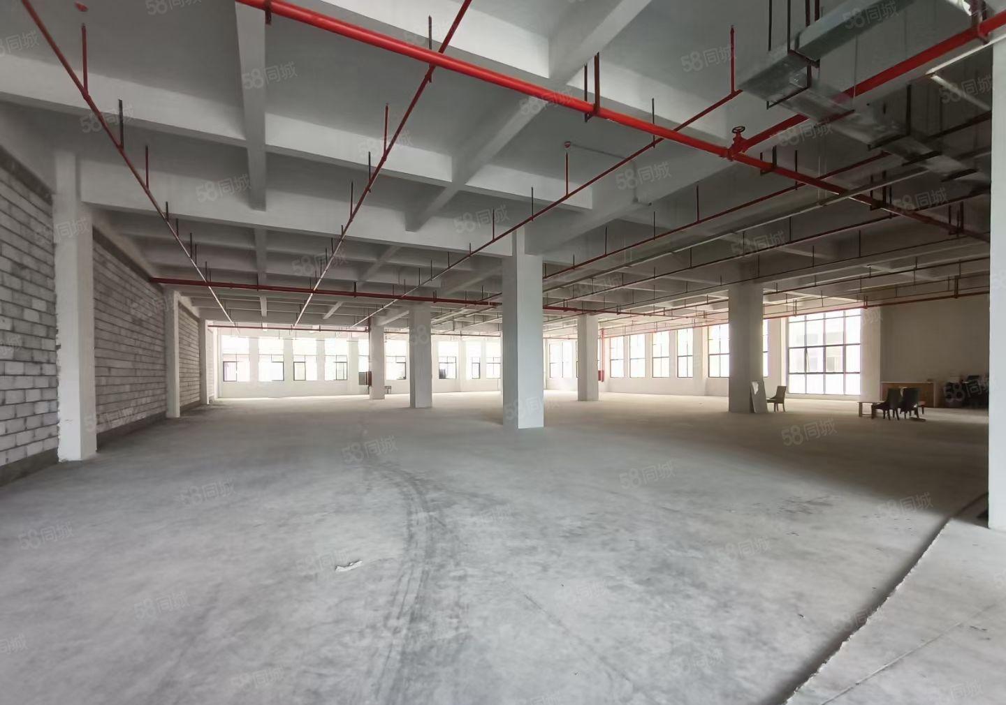 水口东江工业园三楼重工厂房1100平米 承重1吨 层高5米