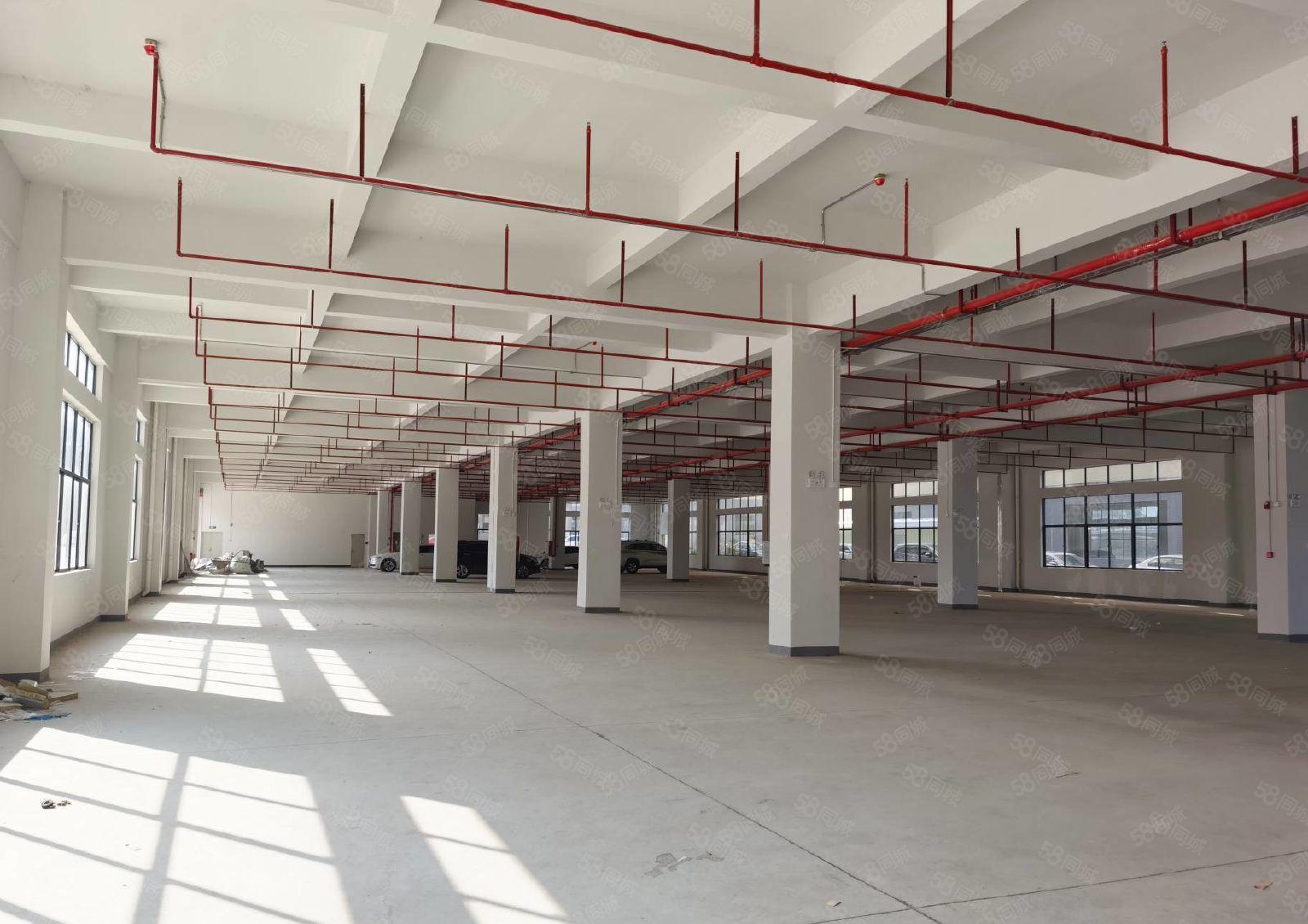 水口重工厂房2800平米出租 层高5米 承重1吨