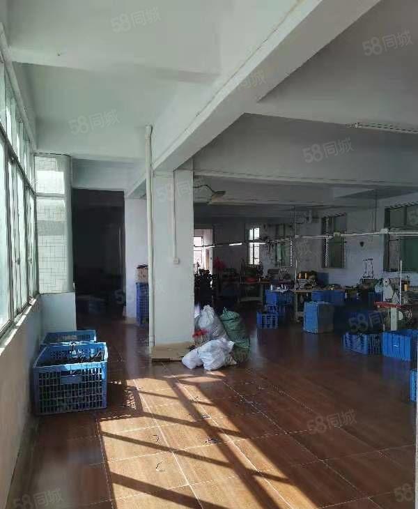 惠州市惠城区小金口原房东电梯厂房，交通便利，价格实惠