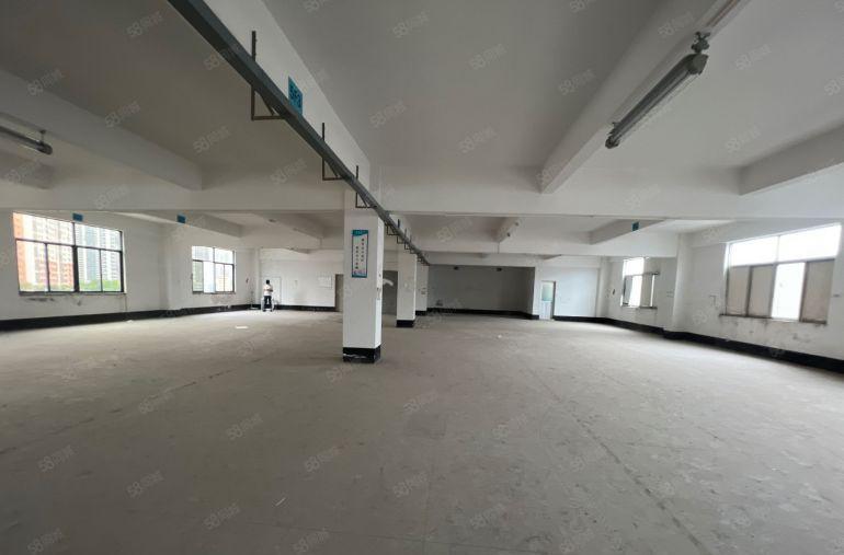 惠城小金口工业园1000平厂房仓库空地低价出租可分租主干道边