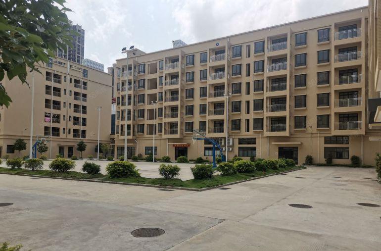 ！整栋！可分割（东江高新区标准厂房）2500平米一层，共5层