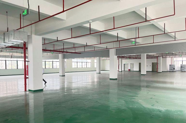 （现成装修）小金口8块每平全新厂房