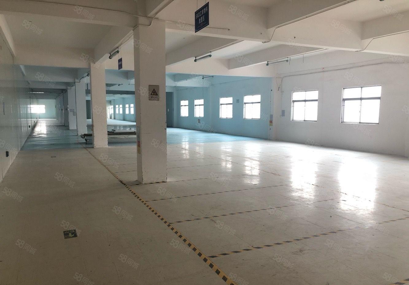 水口独院三层3800平方可办环评