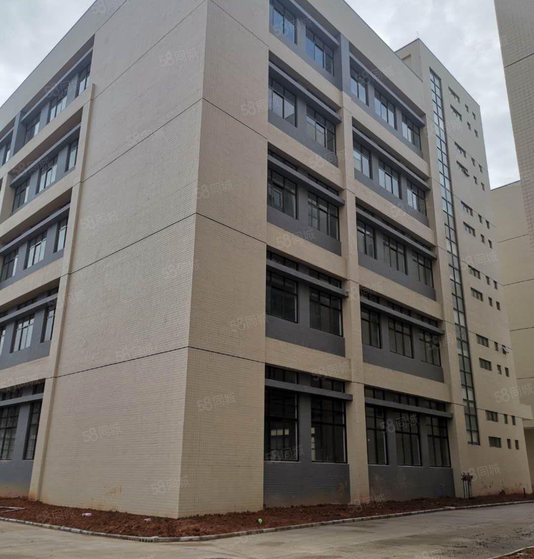 三栋全新原房东红本厂房1550平方9.9元起出租 配套完善