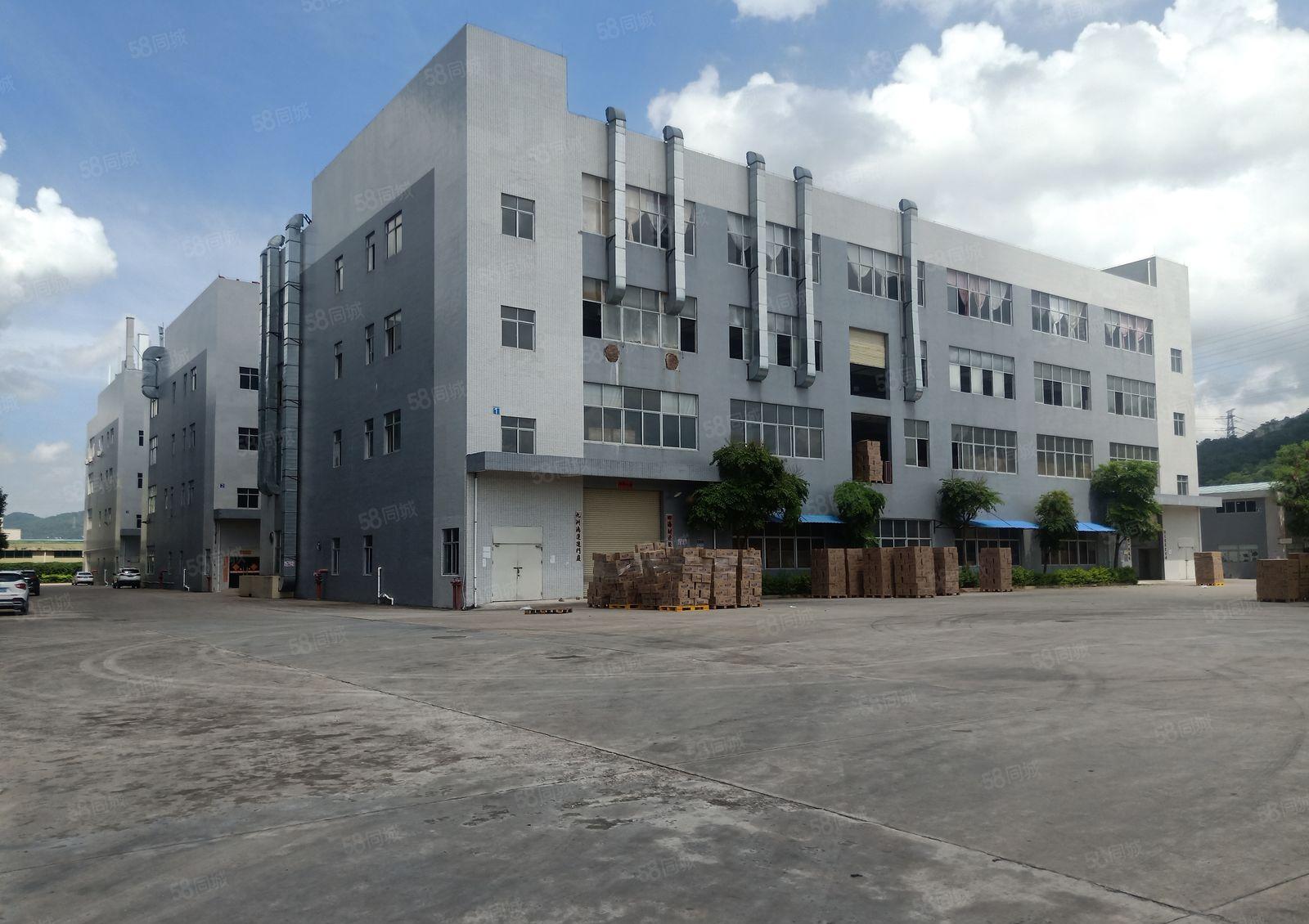 13元起租惠城水口独门独院8000平厂房仓库出租可分租空地大