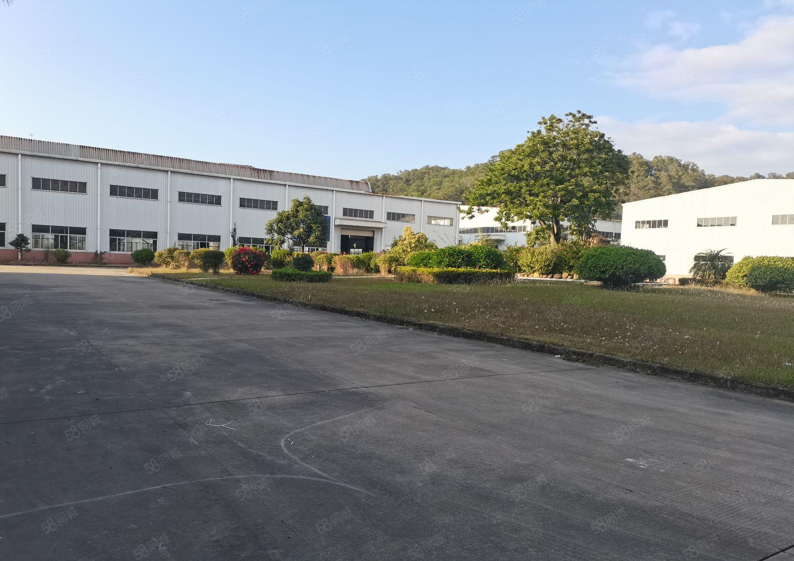 惠州惠城水口原房东钢构厂房仓库9米高2800平米出租可办环评