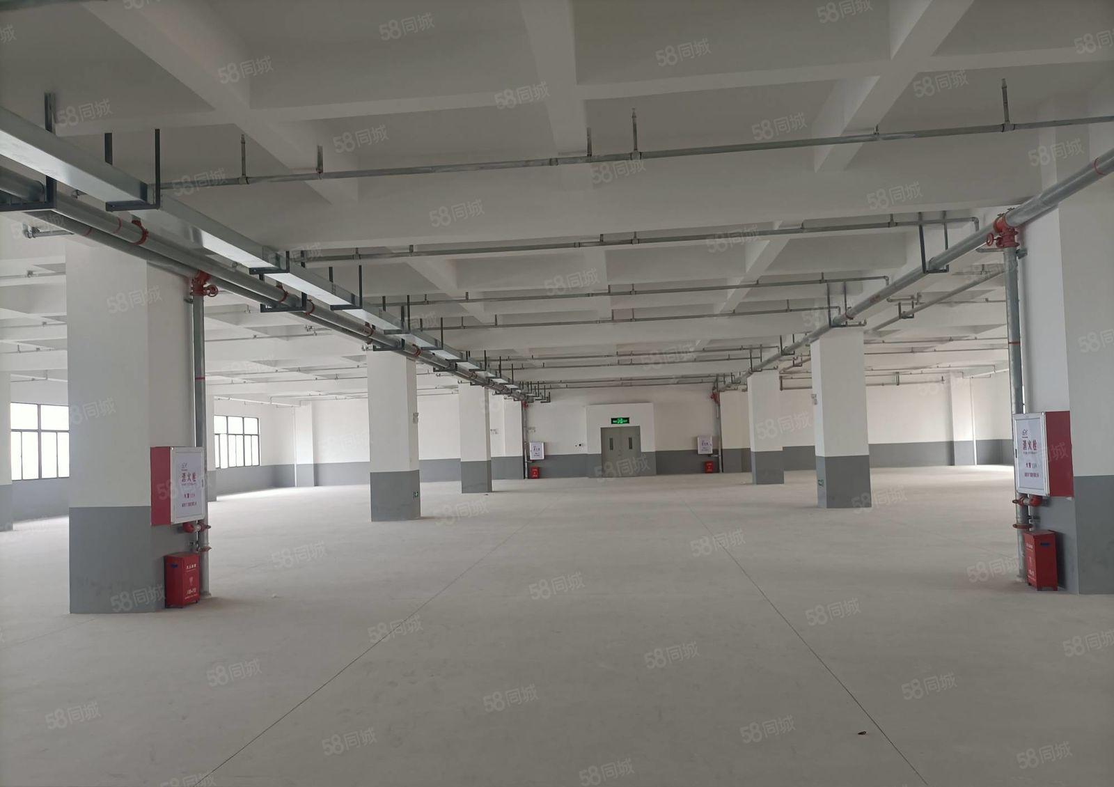 水口东江工业区全新工业厂房1500平方  10元出租