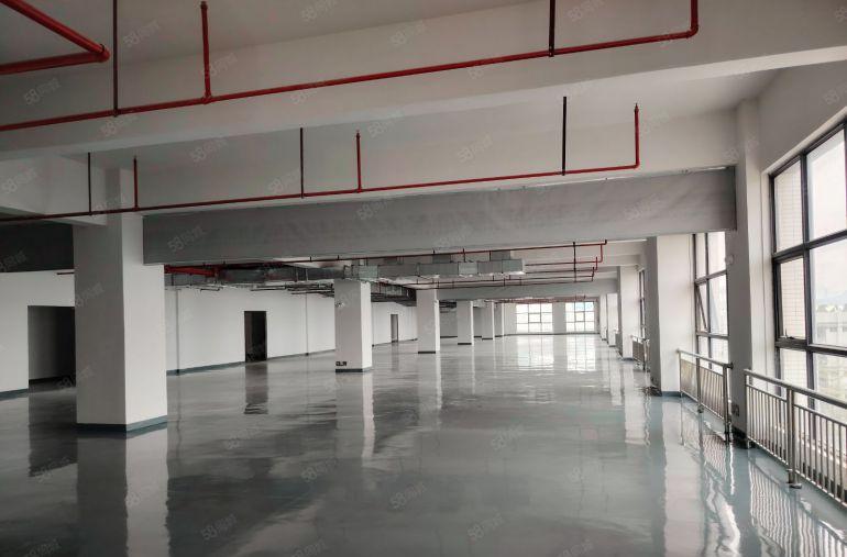 新出标准厂房送全新装修办公室车间0.3全包大小可分厂房出租