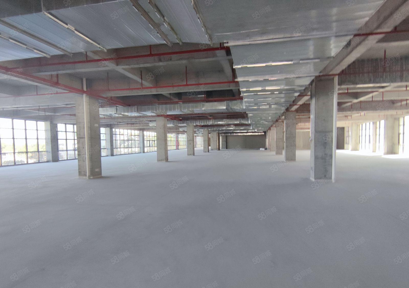 水口仲恺高新区原房东标准厂房4层1w平证件齐全可分租实际面积