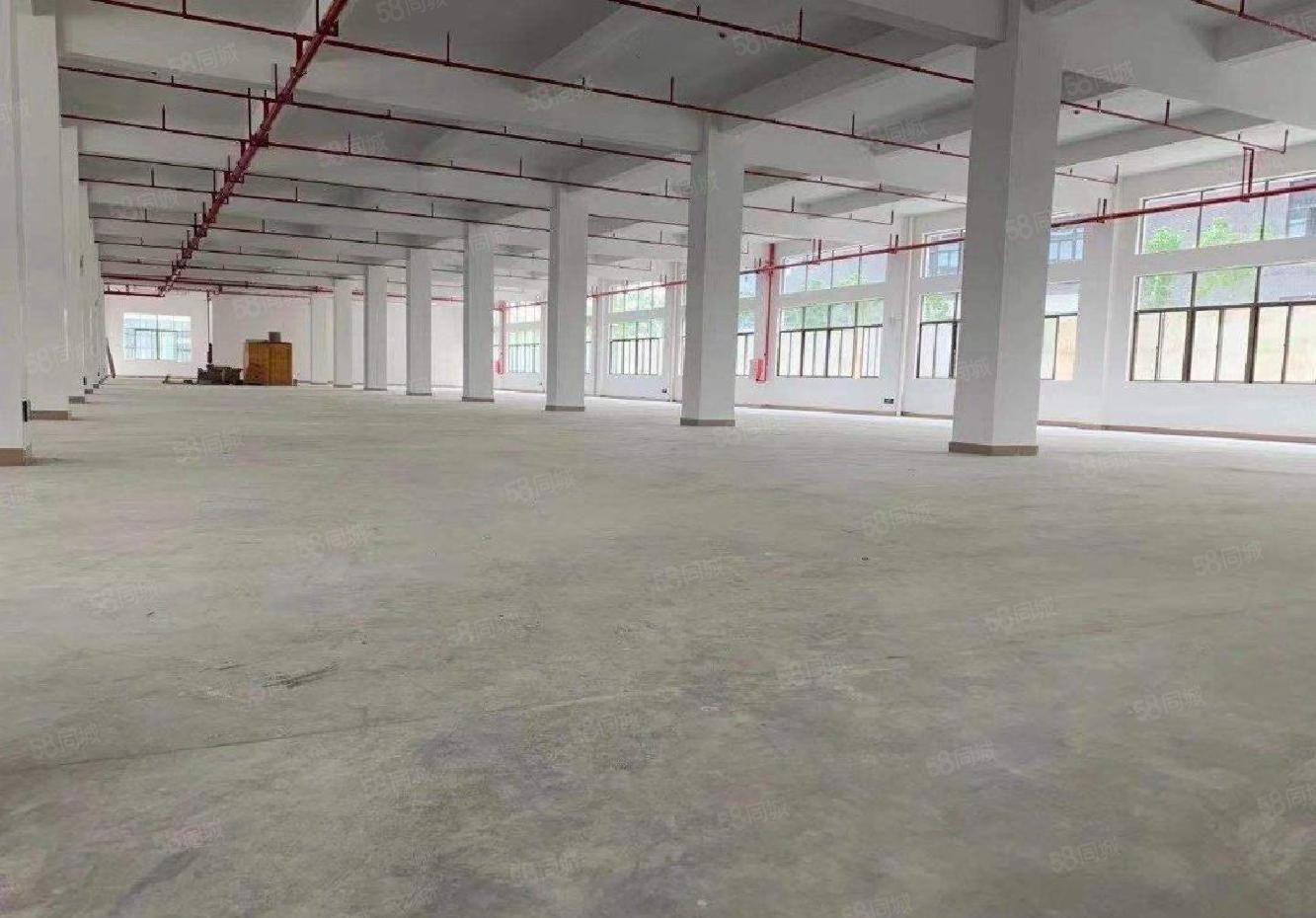 原房东淡水新建5000标准厂房招商高速口交通便利带红本可分组