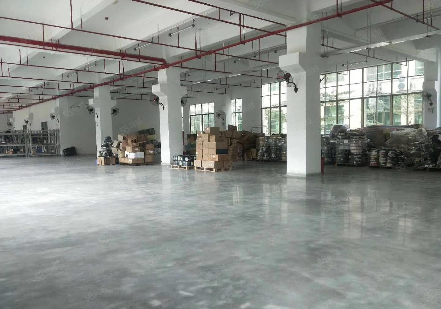 惠州市惠城区原房东全新标准厂房出租，带现成办公室装修