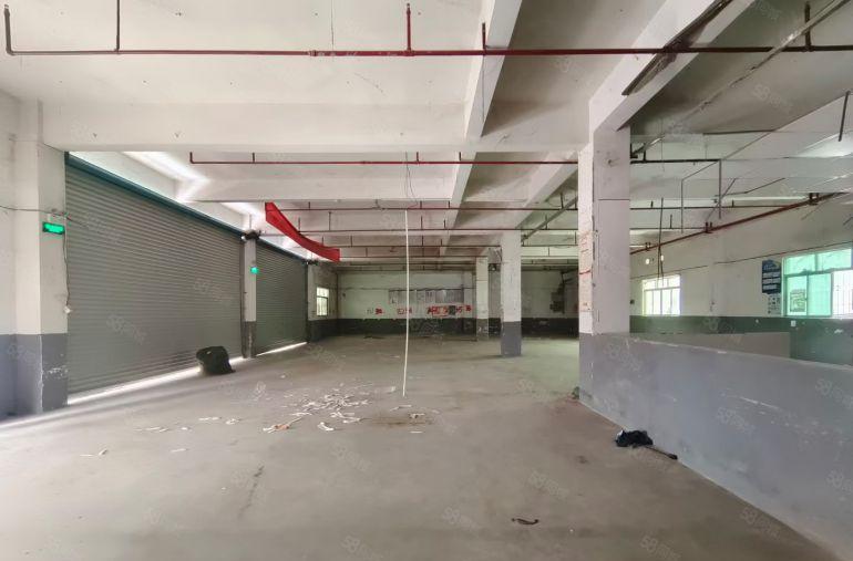 马安新乐 园区一楼650，400平厂房仓库出租 看中就租