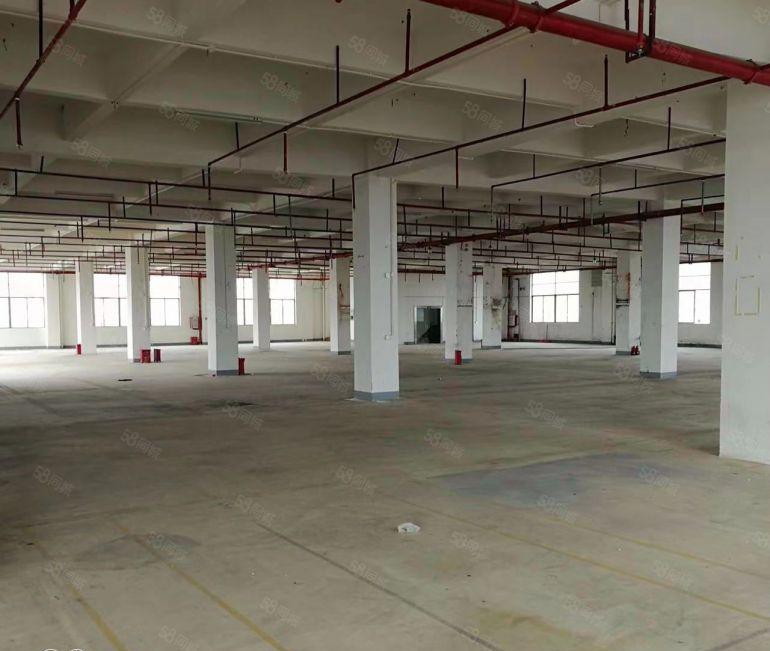 7元厂房出租，在三栋的核心位置，在国道边上，交通非常方便！