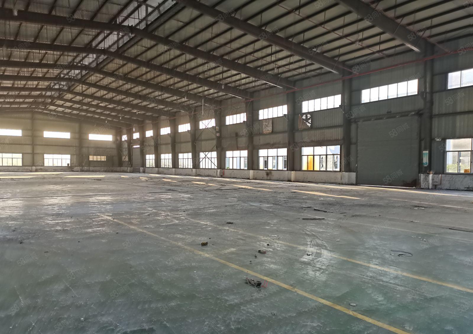 滴水10米高惠城三栋原房东独院钢构厂房22000平出租可分租