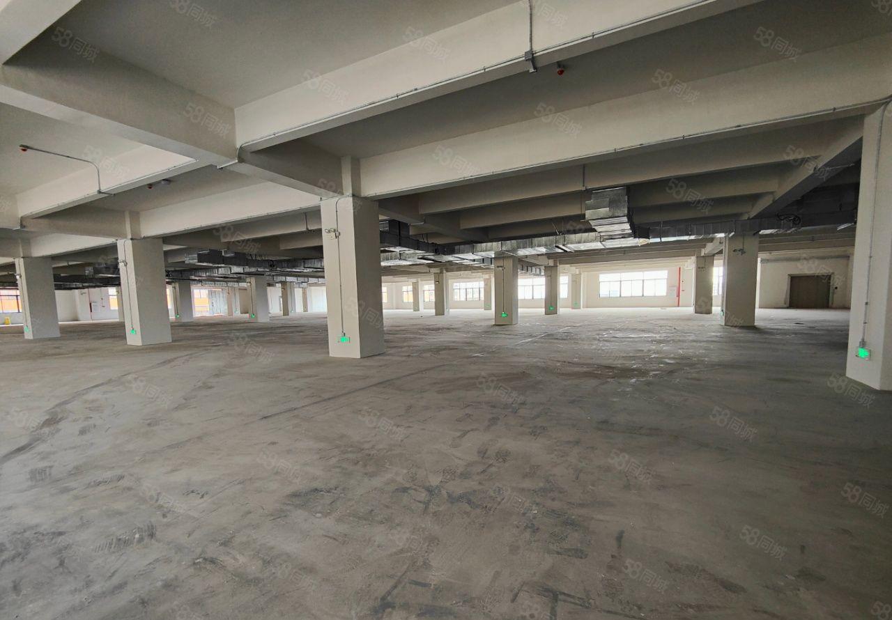 钜惠！惠城新出12800平独门独院标准厂房出租，园区证件齐全