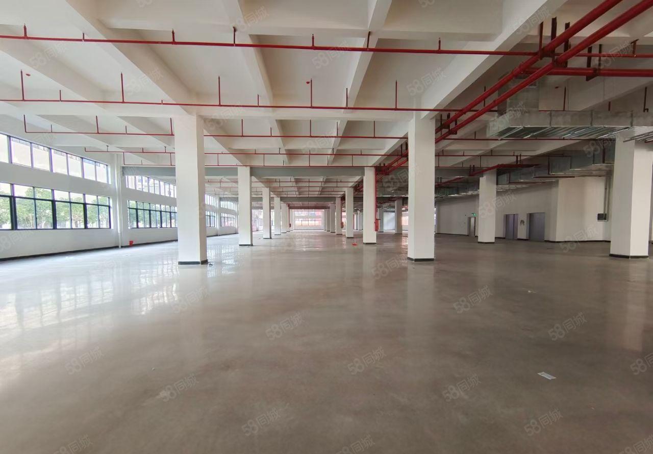 马安全新一二层5200平米红本标准厂房招租
