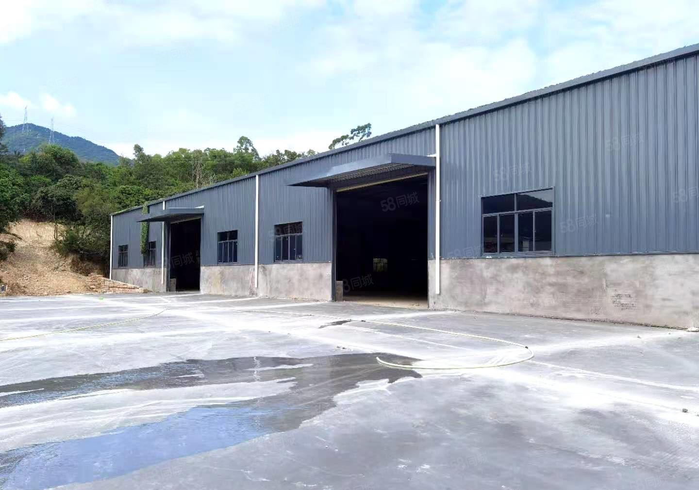 马安镇 独院全新1000平方钢构厂房仓库出租 租金14元