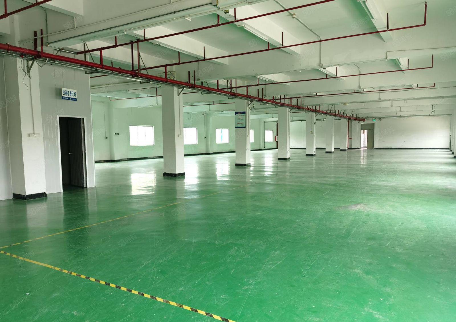 平潭怡发工业园四楼厂房1500平米 现成装修 租金9元可分租